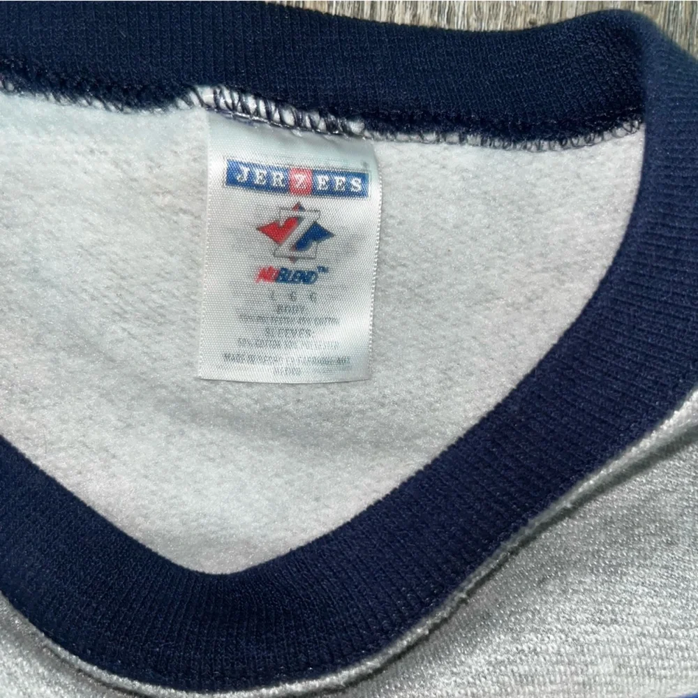 Vintage 90s‎ US Air Force Thunderbirds Sweatshirt Size L Crewneck Gray Jerzees￼